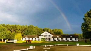 cofc-equestrian-summer-camp-2022